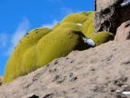 chile-2013-tag-04-2-lauca-np-0548