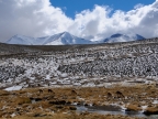 chile-2013-tag-04-2-lauca-np-0562