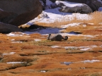 chile-2013-tag-04-2-lauca-np-0573