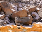 chile-2013-tag-04-2-lauca-np-0576
