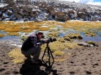 chile-2013-tag-04-2-lauca-np-0583
