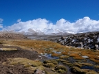 chile-2013-tag-04-2-lauca-np-0589