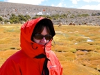 chile-2013-tag-04-2-lauca-np-0622