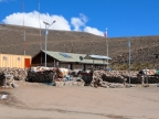 chile-2013-tag-04-2-lauca-np-0627