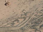 chile-2013-tag-05-2-fahrt-iquique-0749