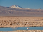 chile-2013-tag-07-1-salar-de-atacama-1007