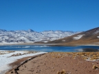 chile-2013-tag-07-2-miscantes-1049