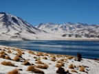 chile-2013-tag-07-2-miscantes-1059
