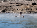 chile-2013-tag-08-1-el-tatio-1328