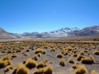 chile-2013-tag-08-1-el-tatio-1349