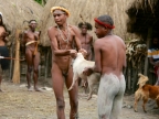 papua-2012-bilder-norbert-0114