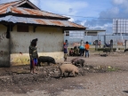 papua-2012-tag05-wamena-0357