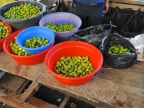 papua-2012-tag05-wamena-0377