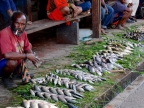 papua-2012-tag05-wamena-0394