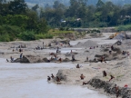 papua-2012-tag05-wamena-0450