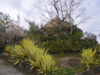 papua-2012-tag05-wamena-0516