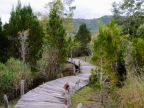 papua-2012-tag05-wamena-0518