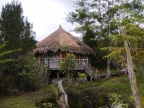papua-2012-tag05-wamena-0519