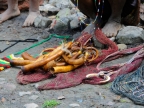 papua-2012-tag06-dani-0530