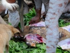 papua-2012-tag06-dani-0647