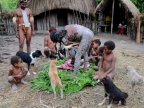 papua-2012-tag06-dani-0649