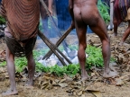 papua-2012-tag06-dani-0656
