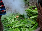 papua-2012-tag06-dani-0668
