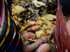 papua-2012-tag06-dani-0712