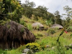 papua-2012-tag07-baliem-schlucht-0773