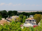 argentinien-2011-0080-san-isidro