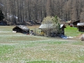 schweiz-03zermatt-0410-539