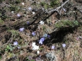 schweiz-03zermatt-0410-594