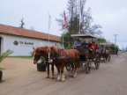 chile-2013-tag-13-2-vio-manent-2060