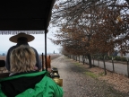 chile-2013-tag-13-2-vio-manent-2101