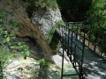 almbachklamm_070607-147