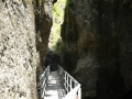 almbachklamm_070607-187