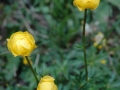 jenner-060607-105