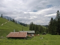 jenner-060607-110