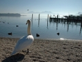 ciemsee_0208-114