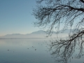ciemsee_0208-157
