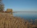 ciemsee_0208-158