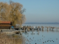 ciemsee_0208-159
