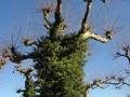 ciemsee_0208-169