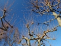 ciemsee_0208-171