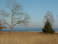 ciemsee_0208-185