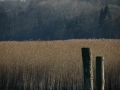 ciemsee_0208-192