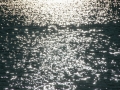 ciemsee_0208-198