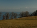 ciemsee_0208-202