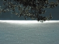 hechtsee_0208-214
