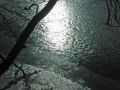 hechtsee_0208-221